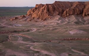 За словами фахівців, знайдені в пустелі Гобі кістки з високою часткою ймовірності належать завроподу, а їхній вік сягає 70 млн років