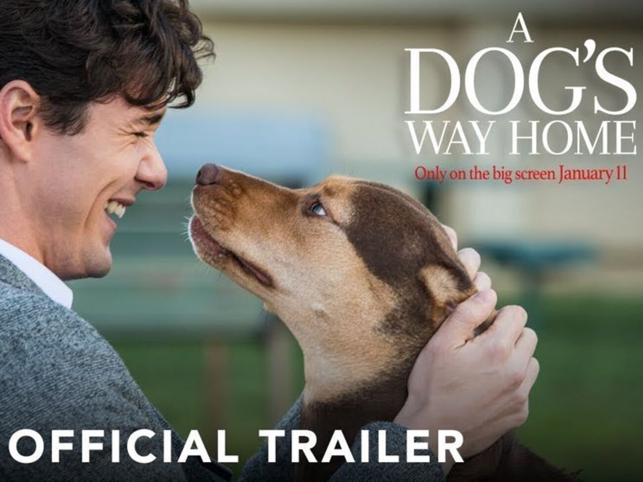 Стрічку знято за книгою Брюса Кемерона