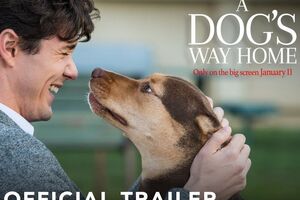 Стрічку знято за книгою Брюса Кемерона