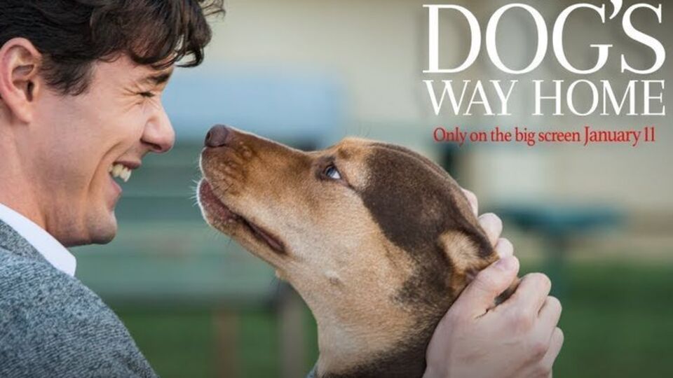 Лента снята по книге Брюса Кэмерона