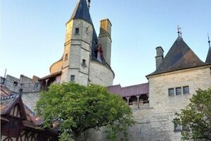 Підозрюваний жив в замку