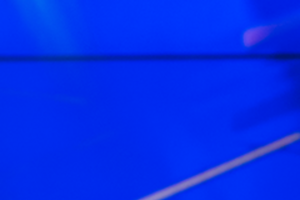 Ноєрт (на фото) може обійняти пост Ніккі Гейлі