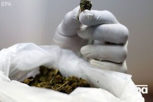 В Канаде незаконным останется хранение более 30 граммов марихуаны