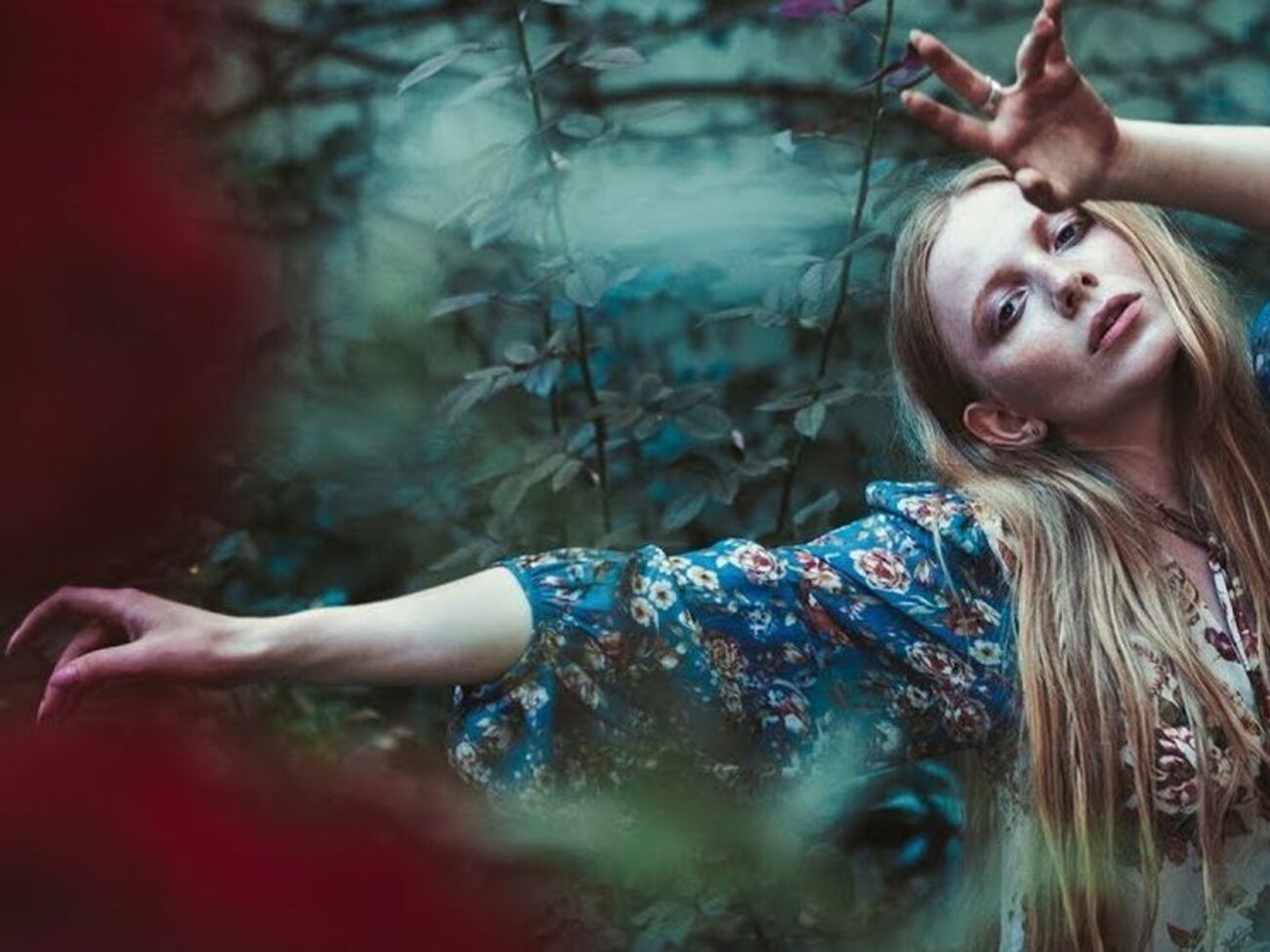 Ingret:&nbsp;Я бы хотела родиться птицей