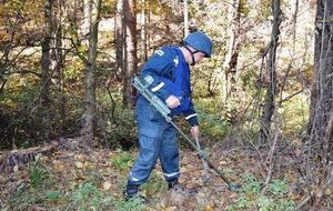 Протягом доби піротехніки відпрацювали п'ять повідомлень населення про виявлення боєприпасів
