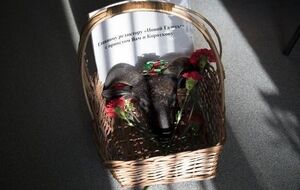 Корзину с головой барана принесли к зданию редакции