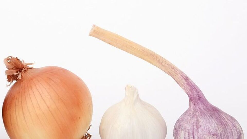 Супрун: Лук и чеснок может вызвать изжогу и раздражение слизистой