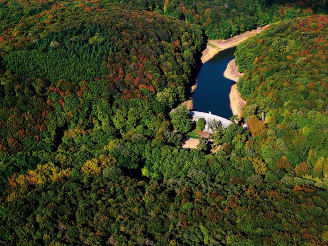 Белградський ліс розташований у Стамбулі
