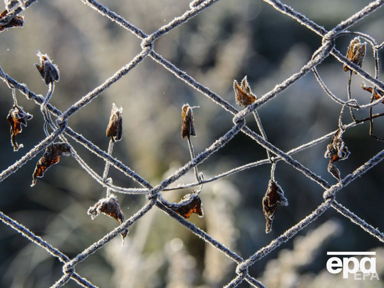 В Україні очікують заморозки