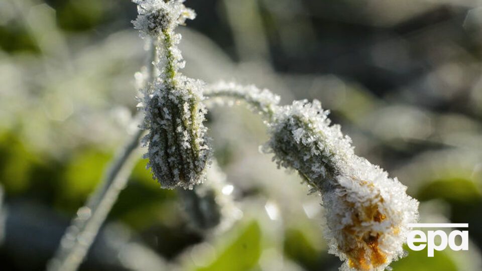 В Україні похолодає