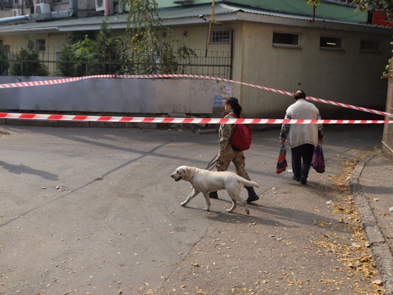 Инцидент произошел на улице Рихтера