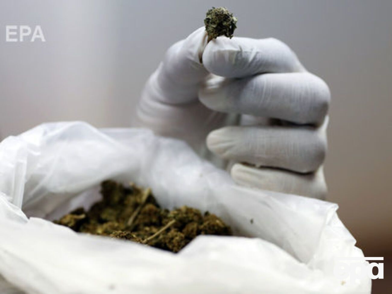17 октября в Канаде вступил в силу закон, легализующий хранение и использование марихуаны в рекреационных целях