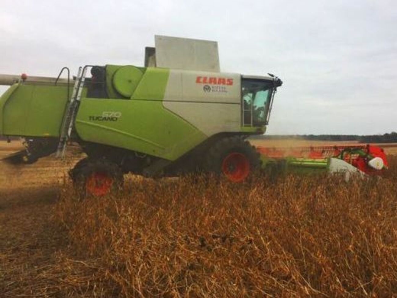 Держава просить грошей у МВФ, а на полях пропадає урожай на мільярд гривень, заявив гендиректор підприємства