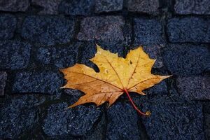 В ряде областей Украины 25 октября пройдут дожди