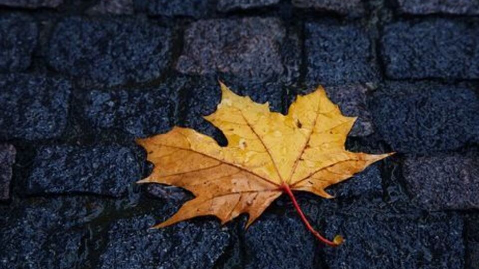 В ряде областей Украины 25 октября пройдут дожди