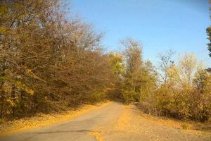 Дорога к части, на которой произошла авария