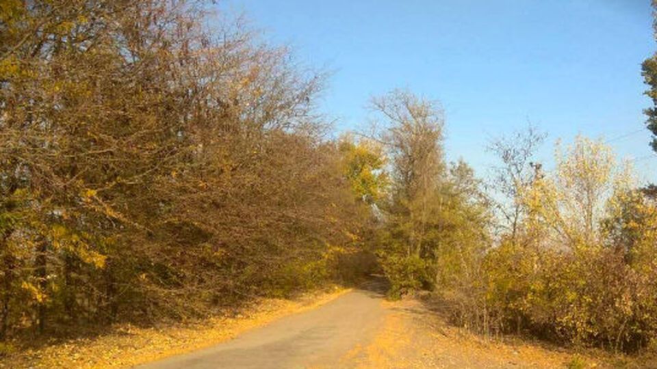 Дорога до частини, на якій сталася аварія