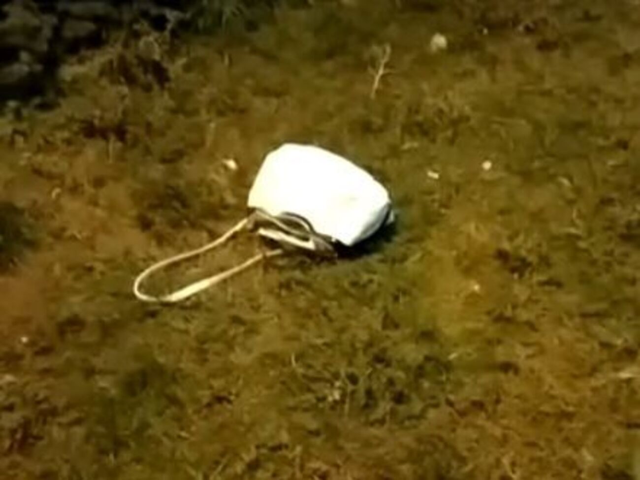 23 октября вечером радикально настроенные лица совершили нападение на лагерь ромов, заявили в офисе омбудсмена Денисовой