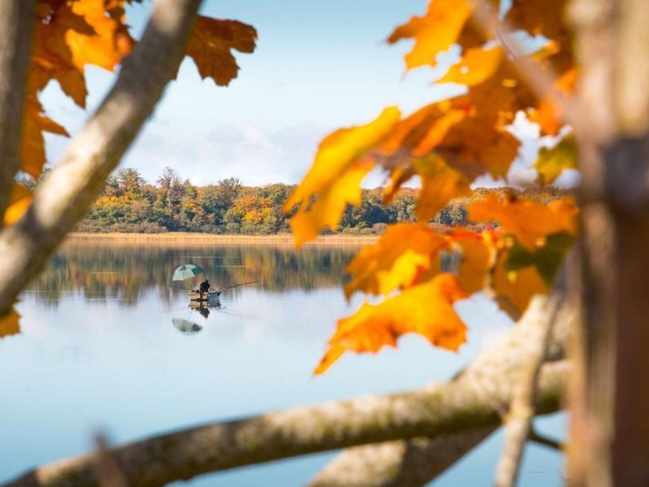 В Украине ожидается потепление