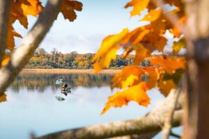 В Україні очікують на потепління