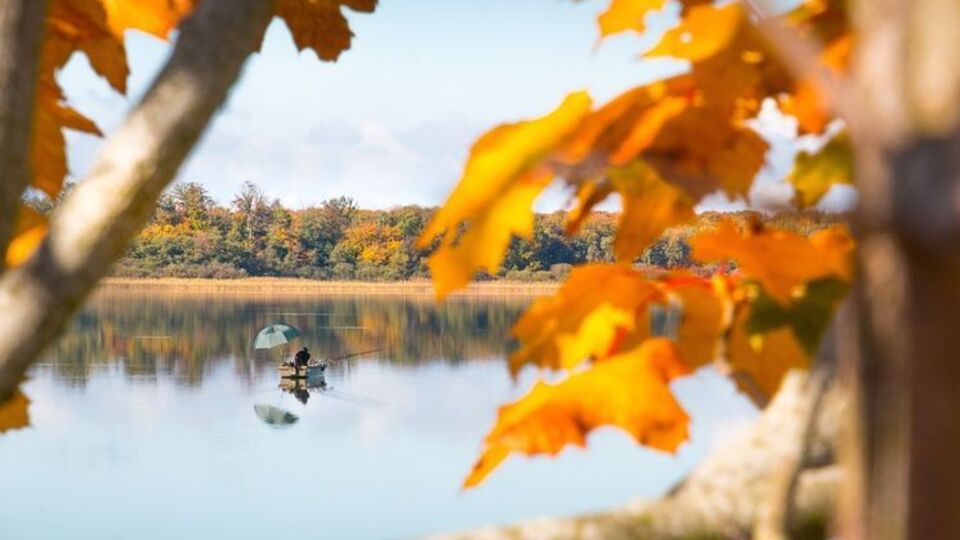 В Украине ожидается потепление