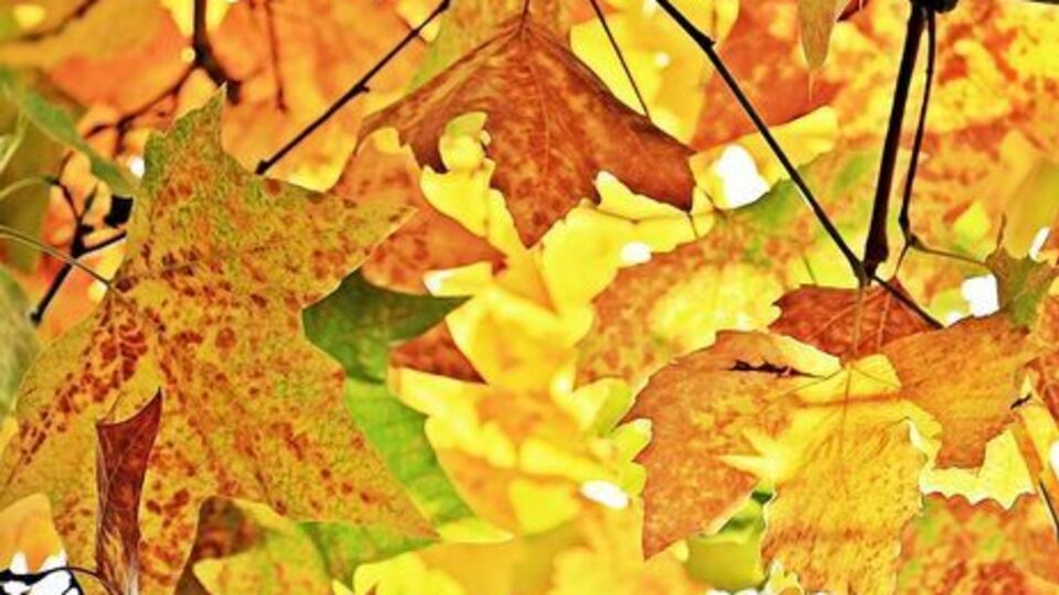 В выходные в Украине потеплеет