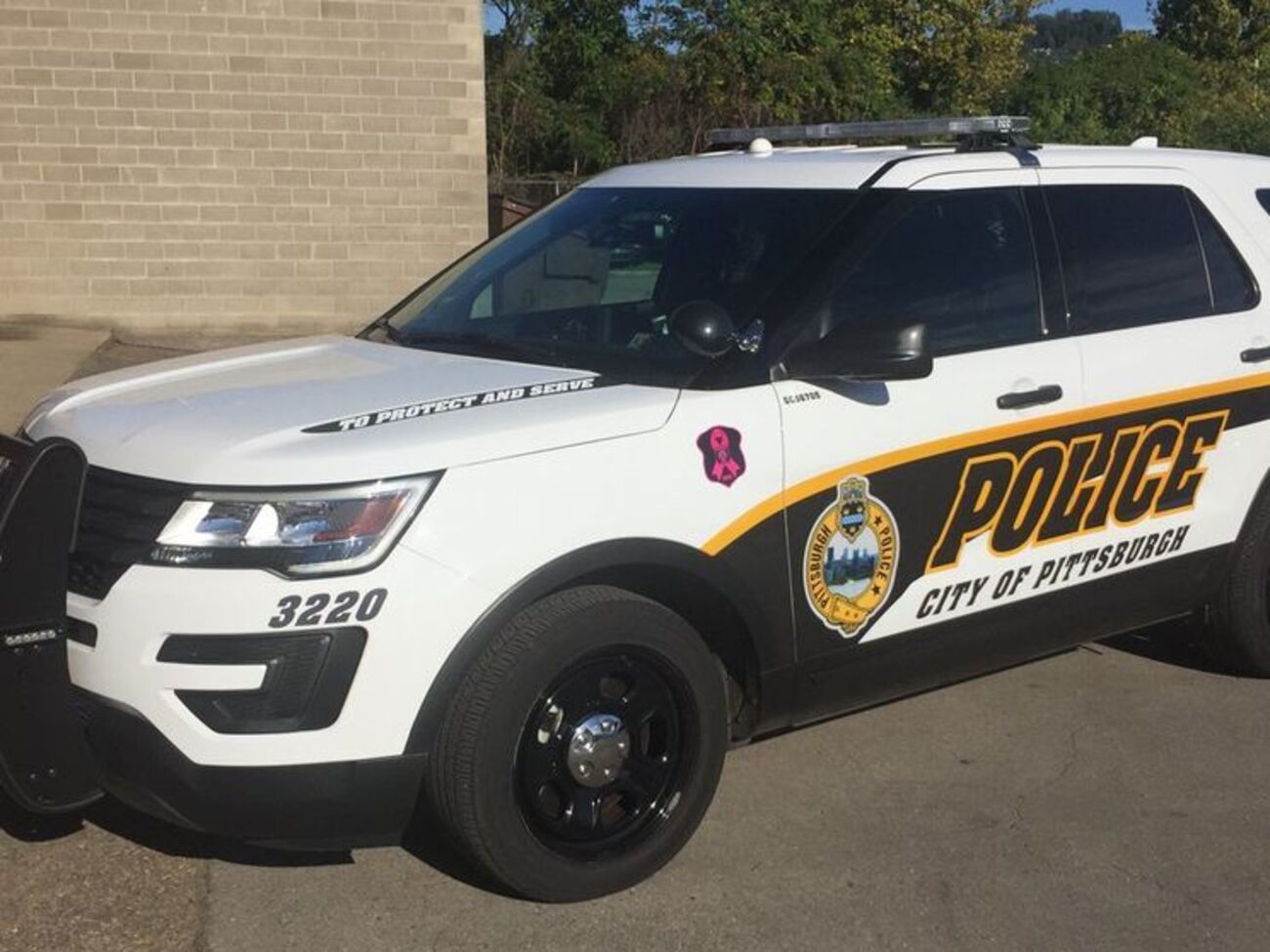 Полиция Питтсбурга задержала стрелка
