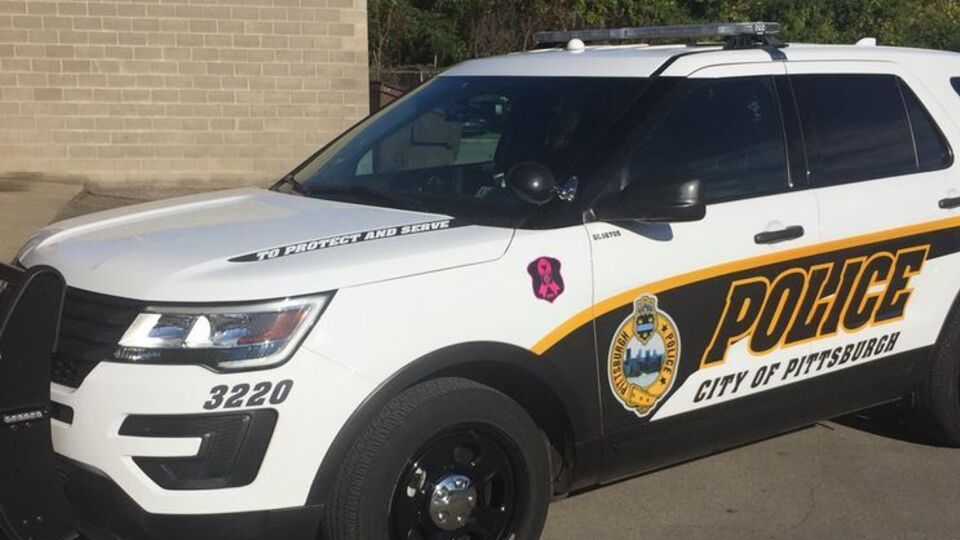 Полиция Питтсбурга задержала стрелка