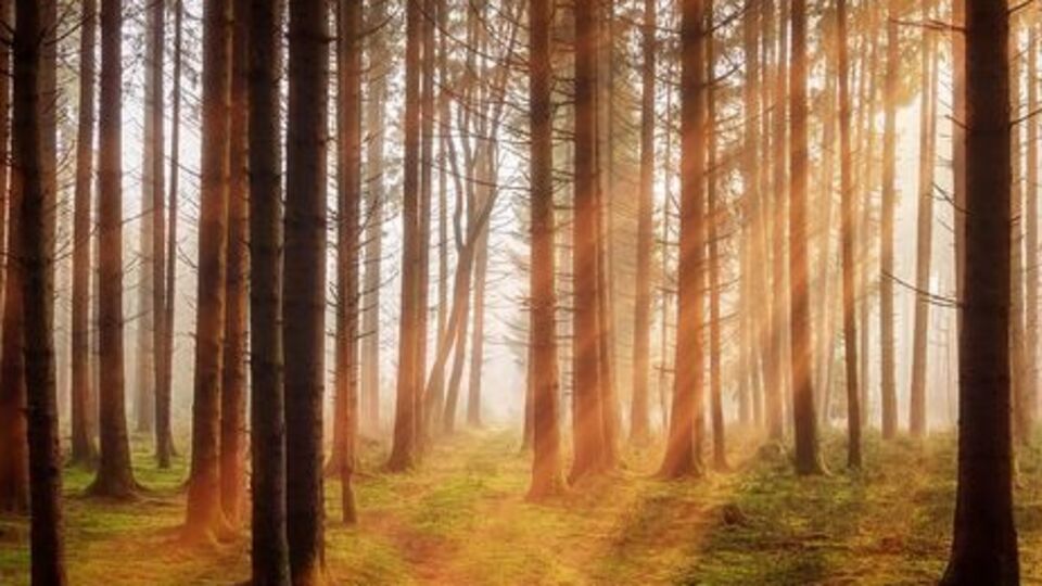 В Україні переважатиме суха і сонячна погода