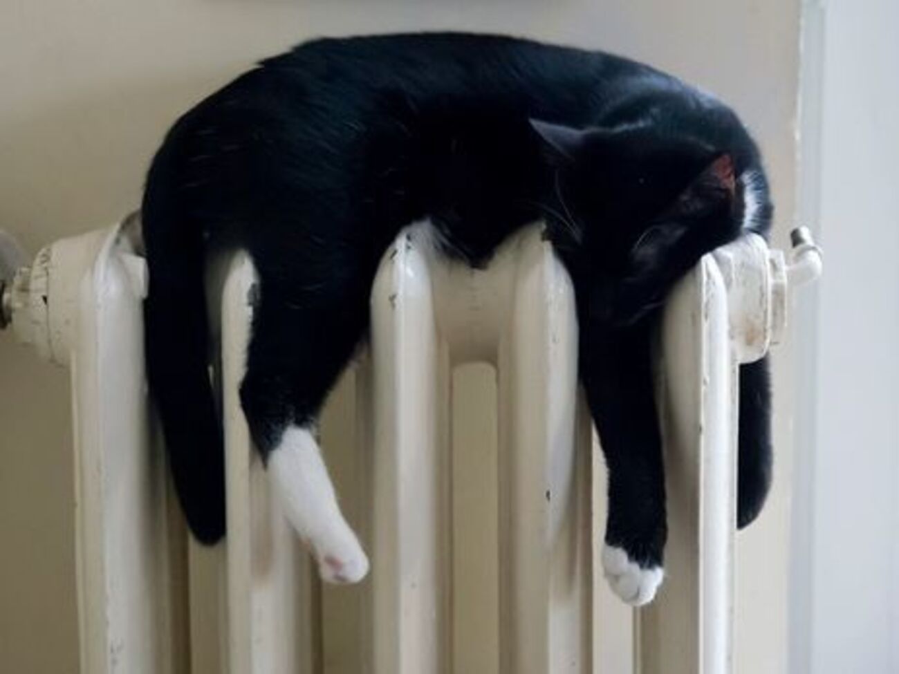 Після зниження температури повітря житлові будинки Львова знову підключать до опалення