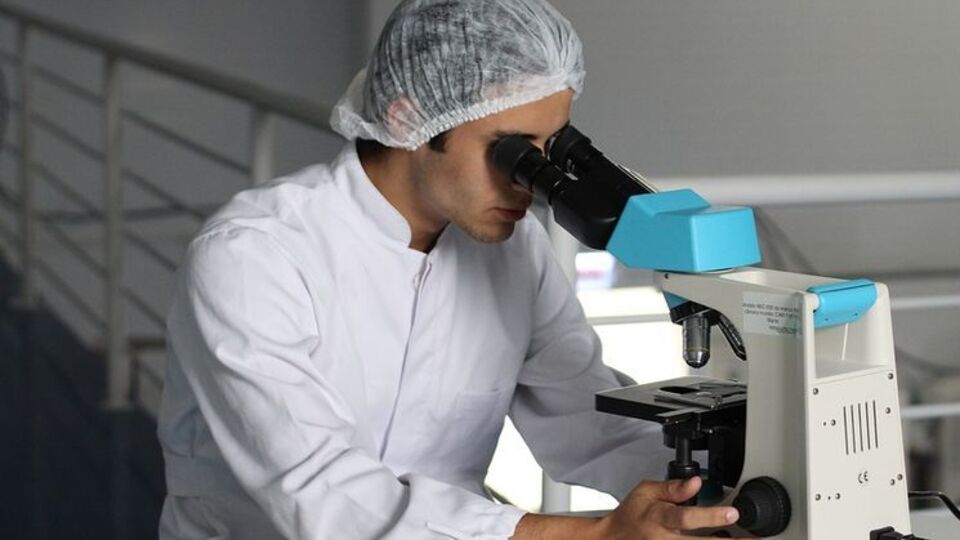 Медики виявили збудник сибірської виразки в однієї людини в Одеській області, її госпіталізували 29 вересня