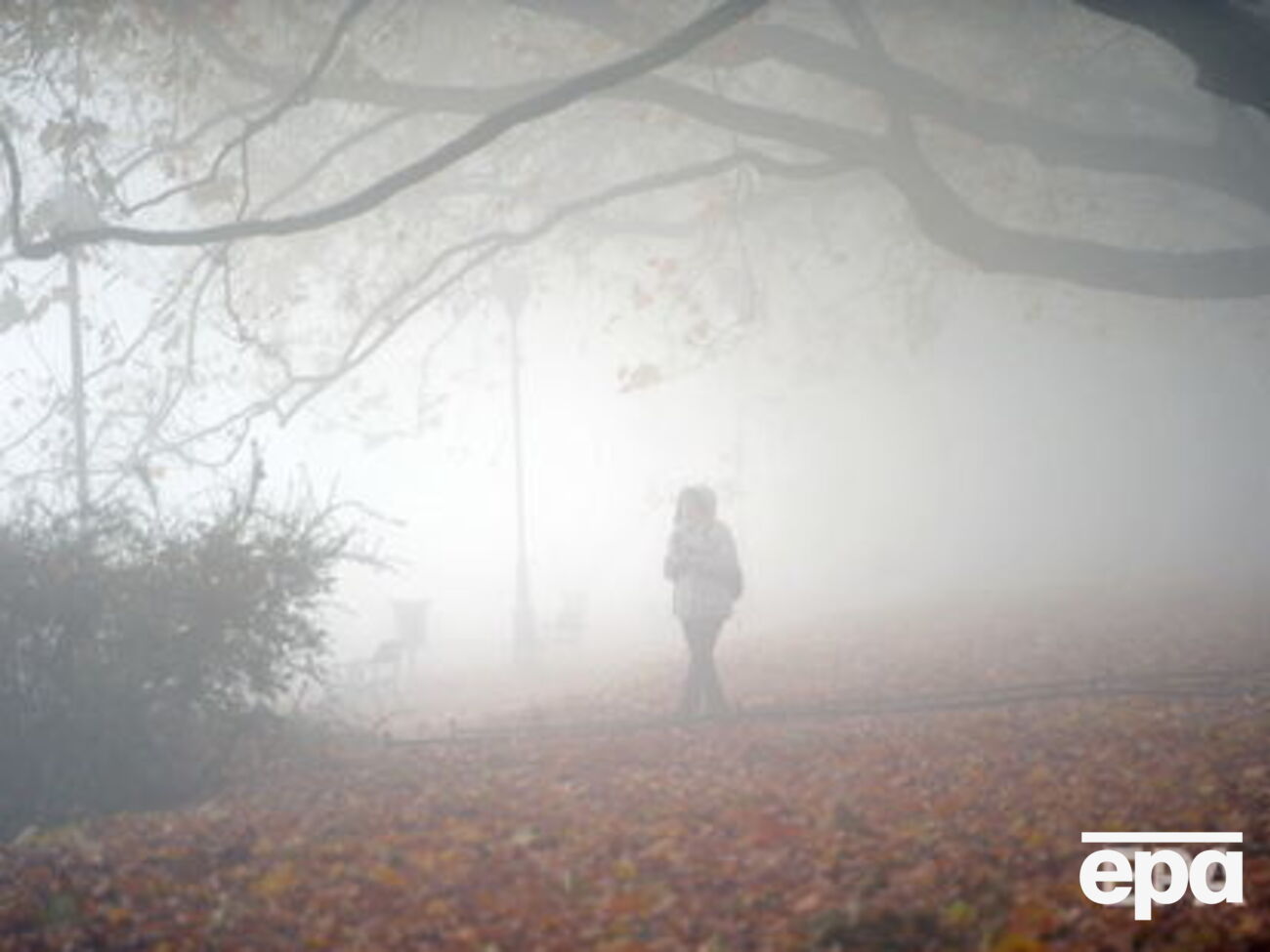 У столиці прогнозують туман 30 жовтня