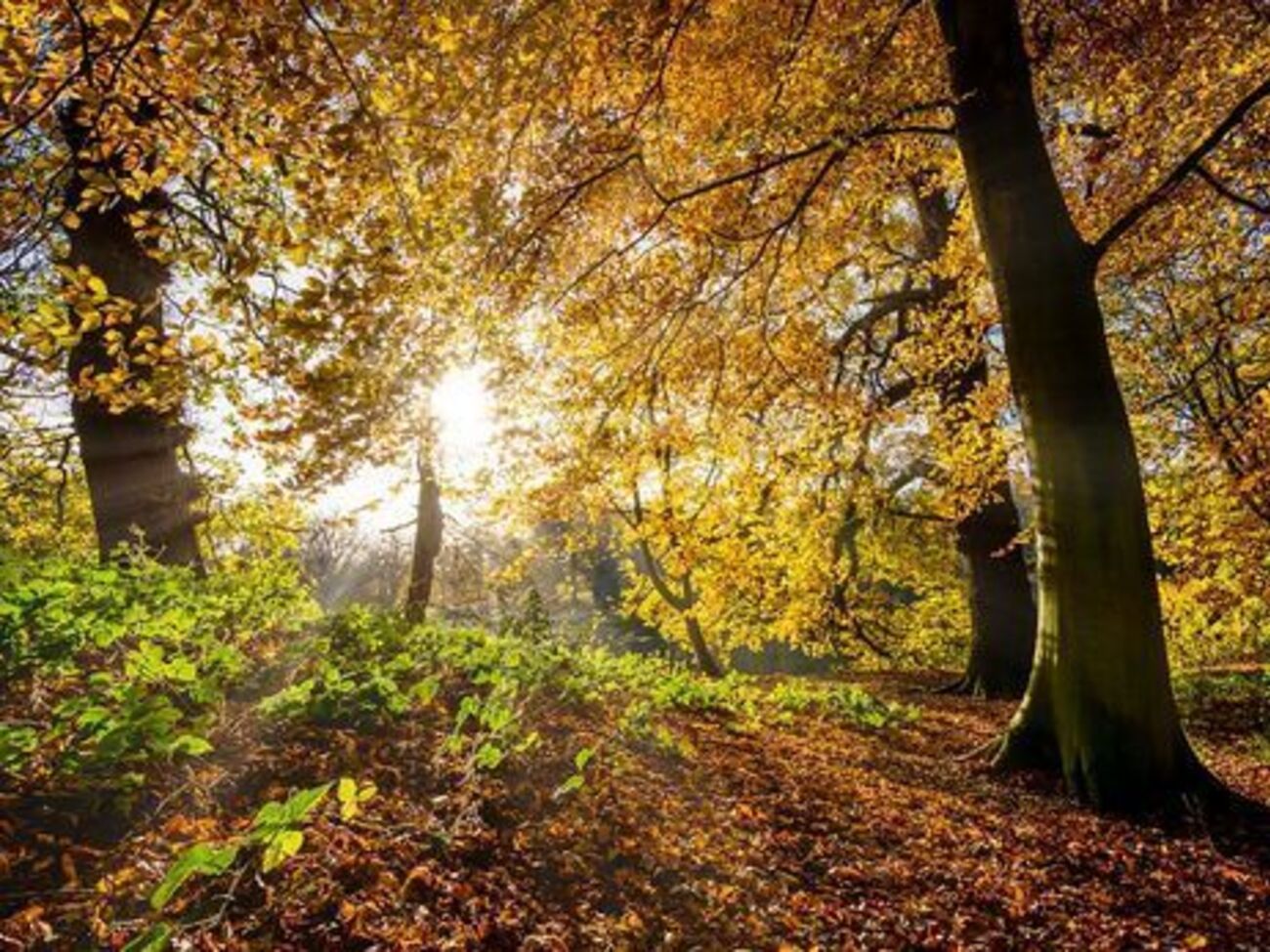 Сегодня в Киеве будет около&nbsp;+14 &ordm;C