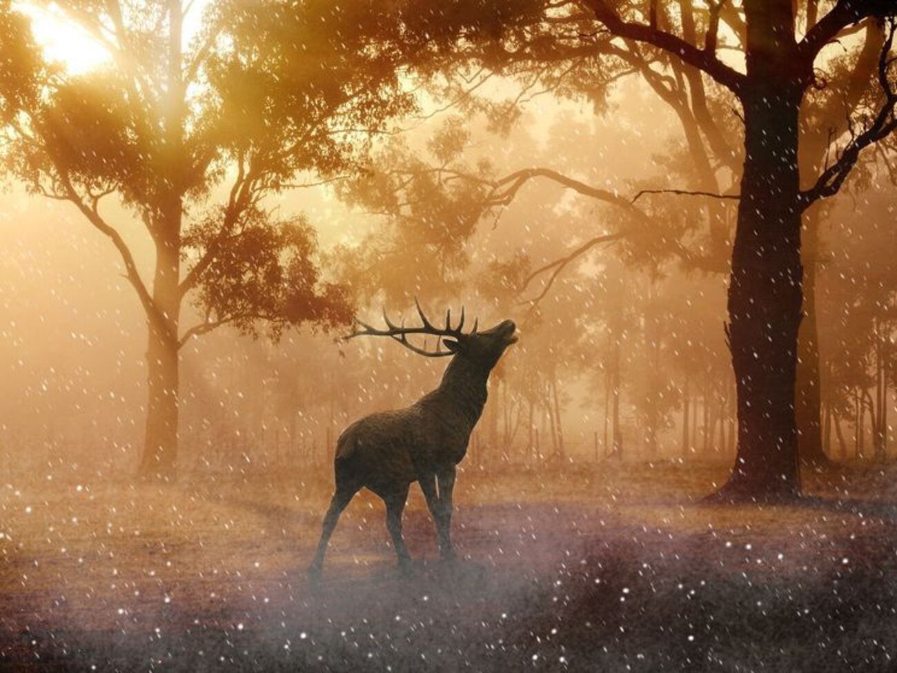 Не менее 300 видов млекопитающих полностью исчезли в результате охоты человека