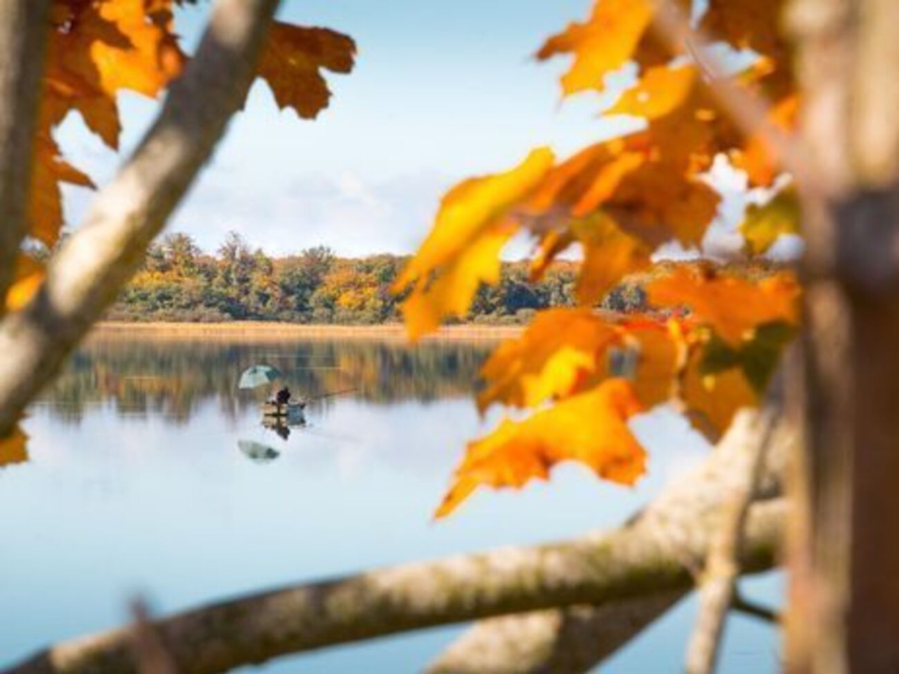 Нынешний октябрь оказался одним из самых теплых за 137 лет