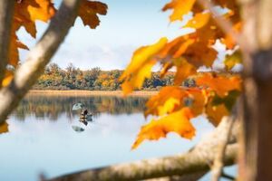 Нынешний октябрь оказался одним из самых теплых за 137 лет