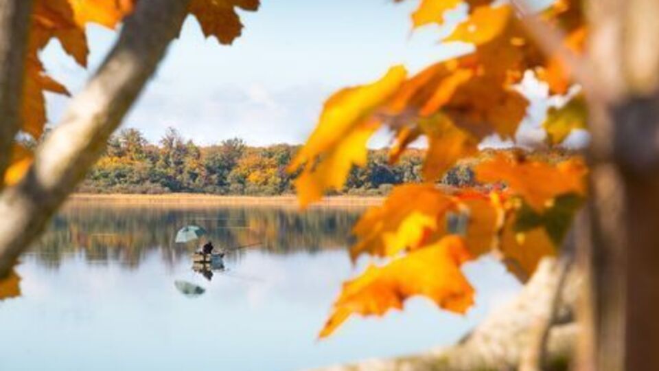 Нинішній жовтень виявився одним із найтепліших за 137 років