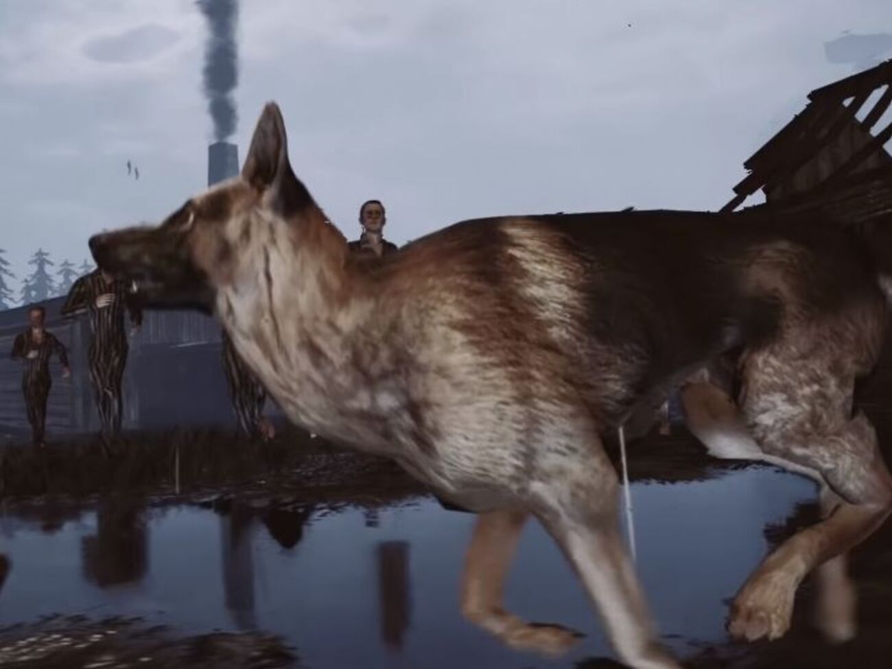 Дія гри онлайн Cost of Freedom відбувається в концтаборі