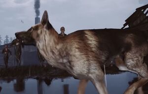 Действие онлайн-игры Cost of Freedom происходит в концлагере