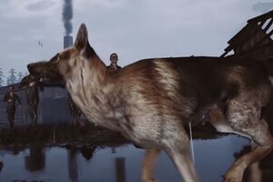 Действие онлайн-игры Cost of Freedom происходит в концлагере