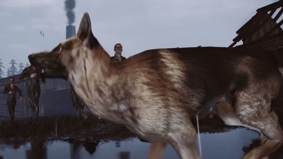 Дія гри онлайн Cost of Freedom відбувається в концтаборі