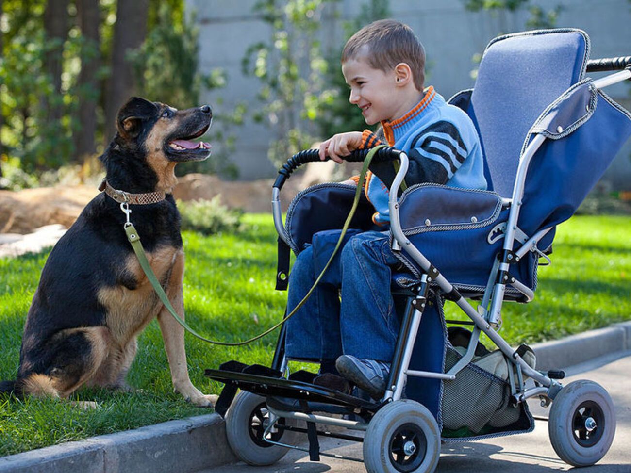 Робота з людьми з особливими потребами є одним з основних напрямів роботи Фельдман Екопарк від моменту його заснування