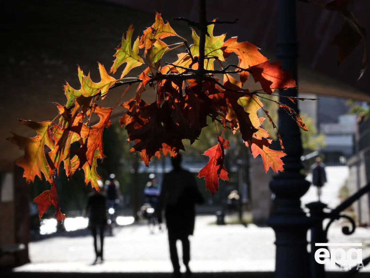 В ближайшие дни в Украине не будет осадков, сообщила Диденко &nbsp;