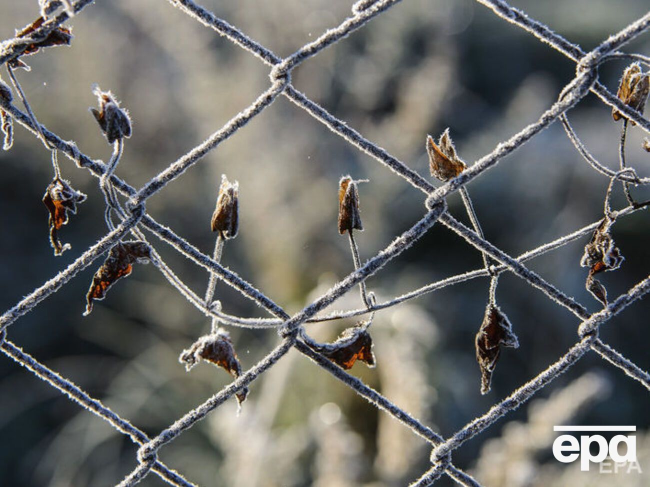 В Україні прогнозують заморозки