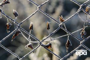 В Україні прогнозують заморозки
