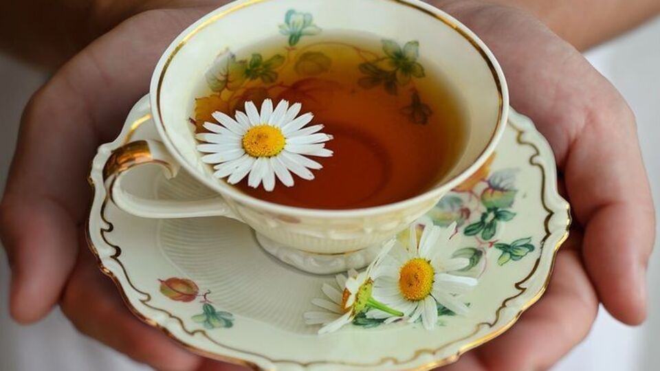 Ромашковый чай – повседневный напиток и лечебное средство