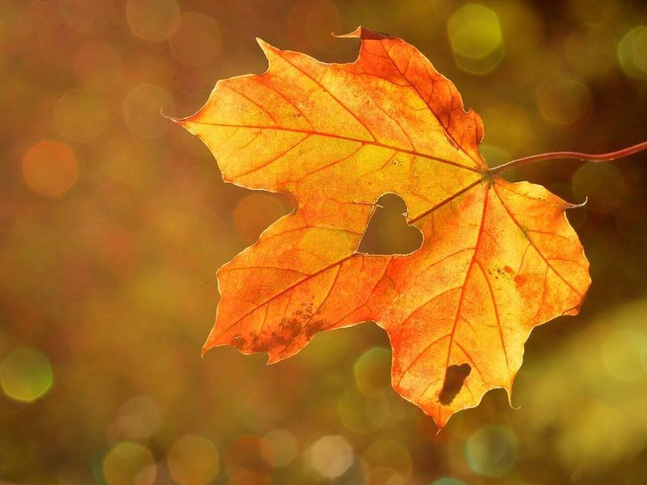 3 вересня було найспекотнішим днем у місяці