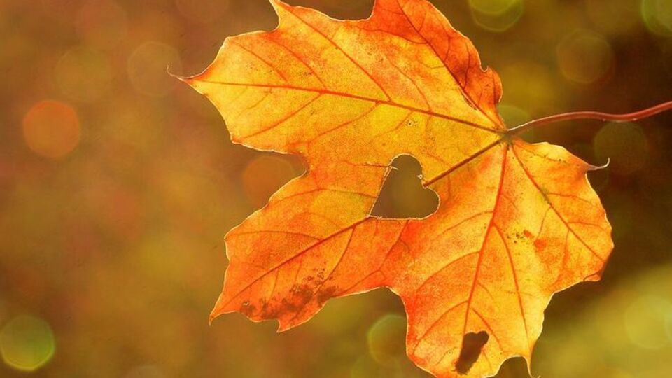 3 вересня було найспекотнішим днем у місяці