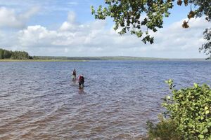 После находки руководство музея и местные власти начали проводить исследования в озере и на его берегах