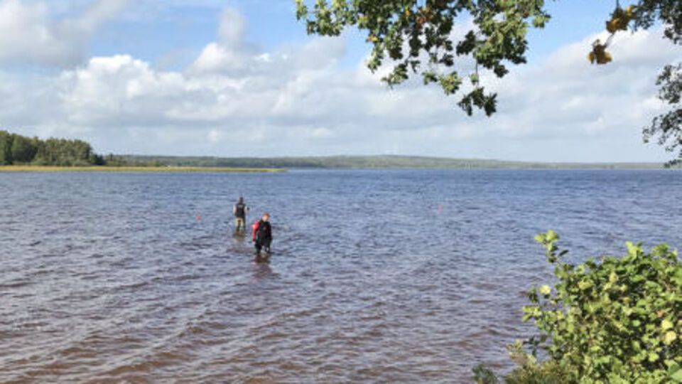 После находки руководство музея и местные власти начали проводить исследования в озере и на его берегах